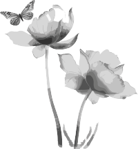 中国画风格花与蝴蝶插画元素