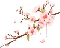 透明背景粉色桃花插画PNG