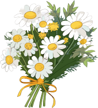 手绘扁平风小雏菊花束PNG素材