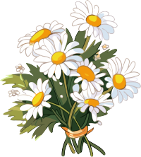 手绘扁平风格透明背景小雏菊花束PNG素材