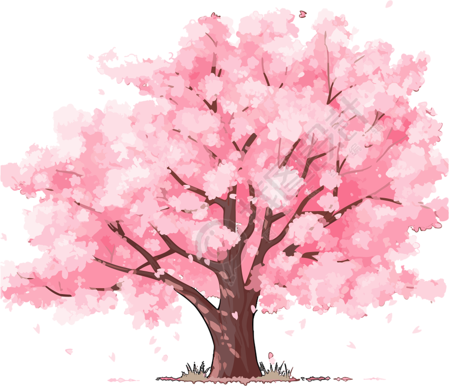 手绘樱花树插画素材