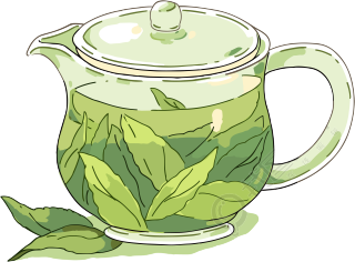 一壶绿茶插画设计