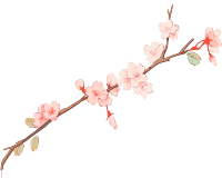 手绘樱花分支素材