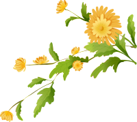 可商用黄色菊花绿色叶片PNG元素