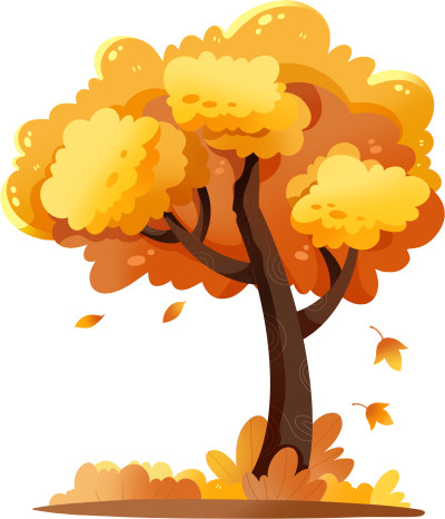 秋天金黄色的枫树透明背景插画