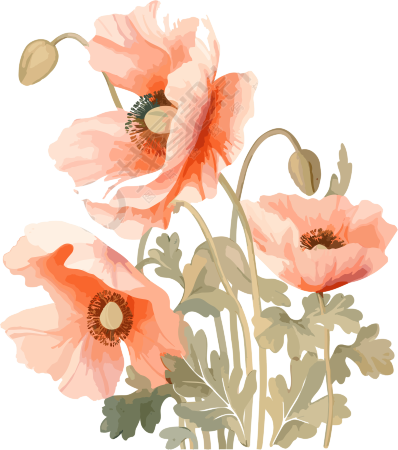 粉色花朵水彩画素材