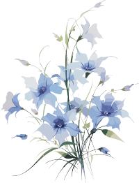 水彩花束素描白底透明PNG图形素材