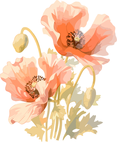 优雅的粉色水彩花朵插画素材