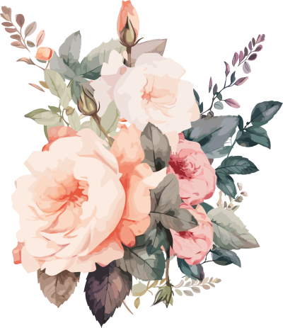 高清透明背景插画设计元素-水彩玫瑰花艺术装饰元素