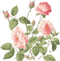 带叶子的复古玫瑰花剪贴画素材
