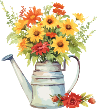 白底水彩花插图素材