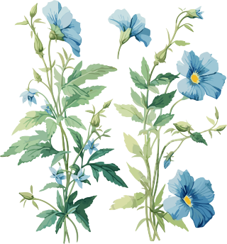 复古美洲图标风格的蓝色和绿色花卉插画元素