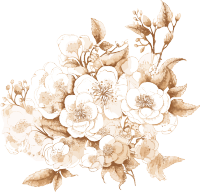 仿古风格素雅色调的花束插画元素
