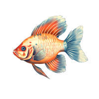 精美插画细节逼真的鱼图案