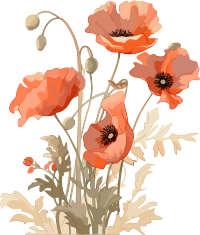 浅橙和深米色风格的鲜花插图