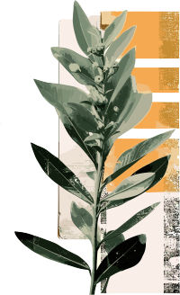 复古植物插画元素