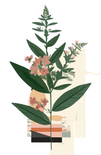 复古风叶子植物插画元素