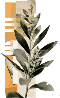 复古风格植物插画元素