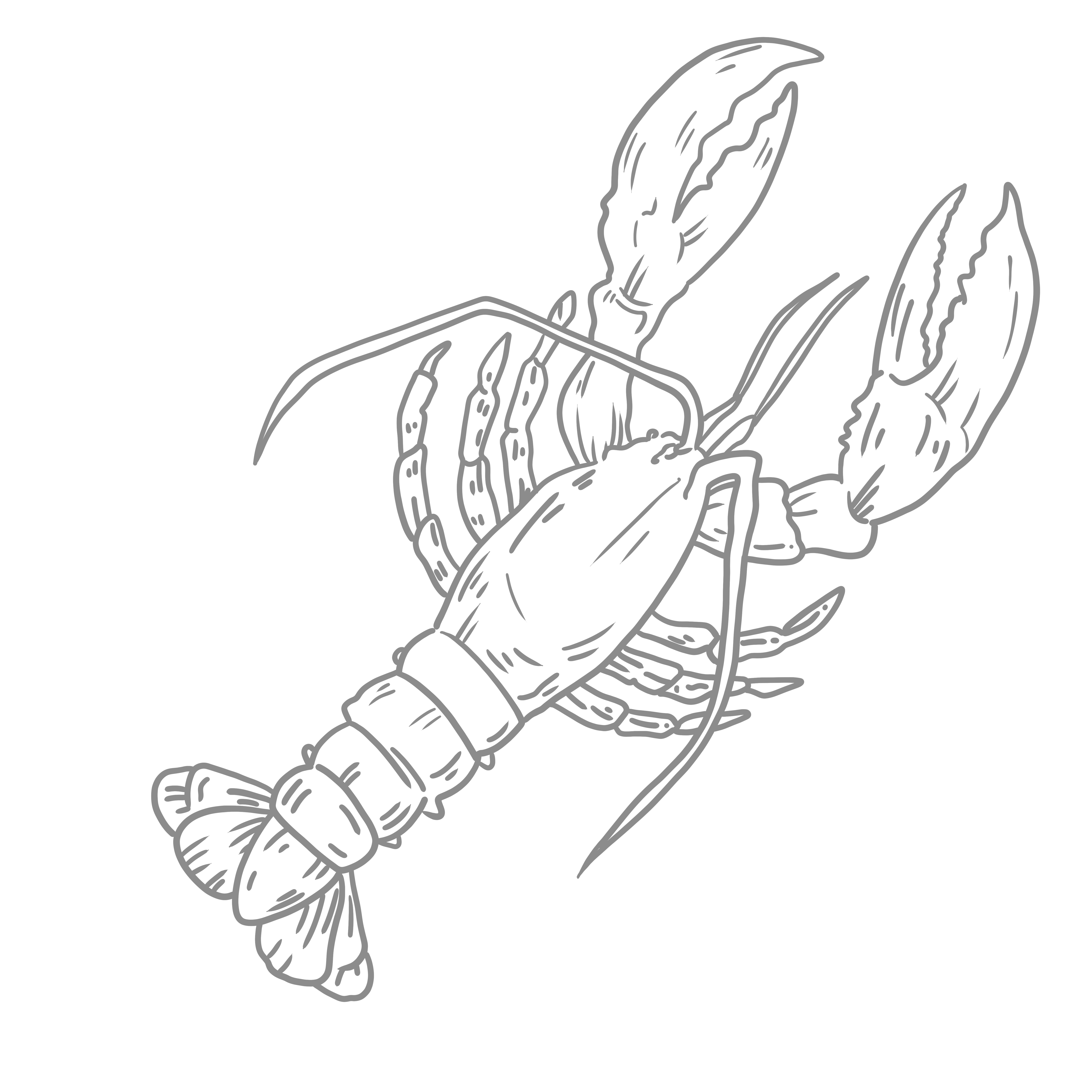 手绘简约线条龙虾PNG插画素材