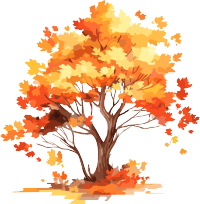 红黄枫树水彩插画PNG
