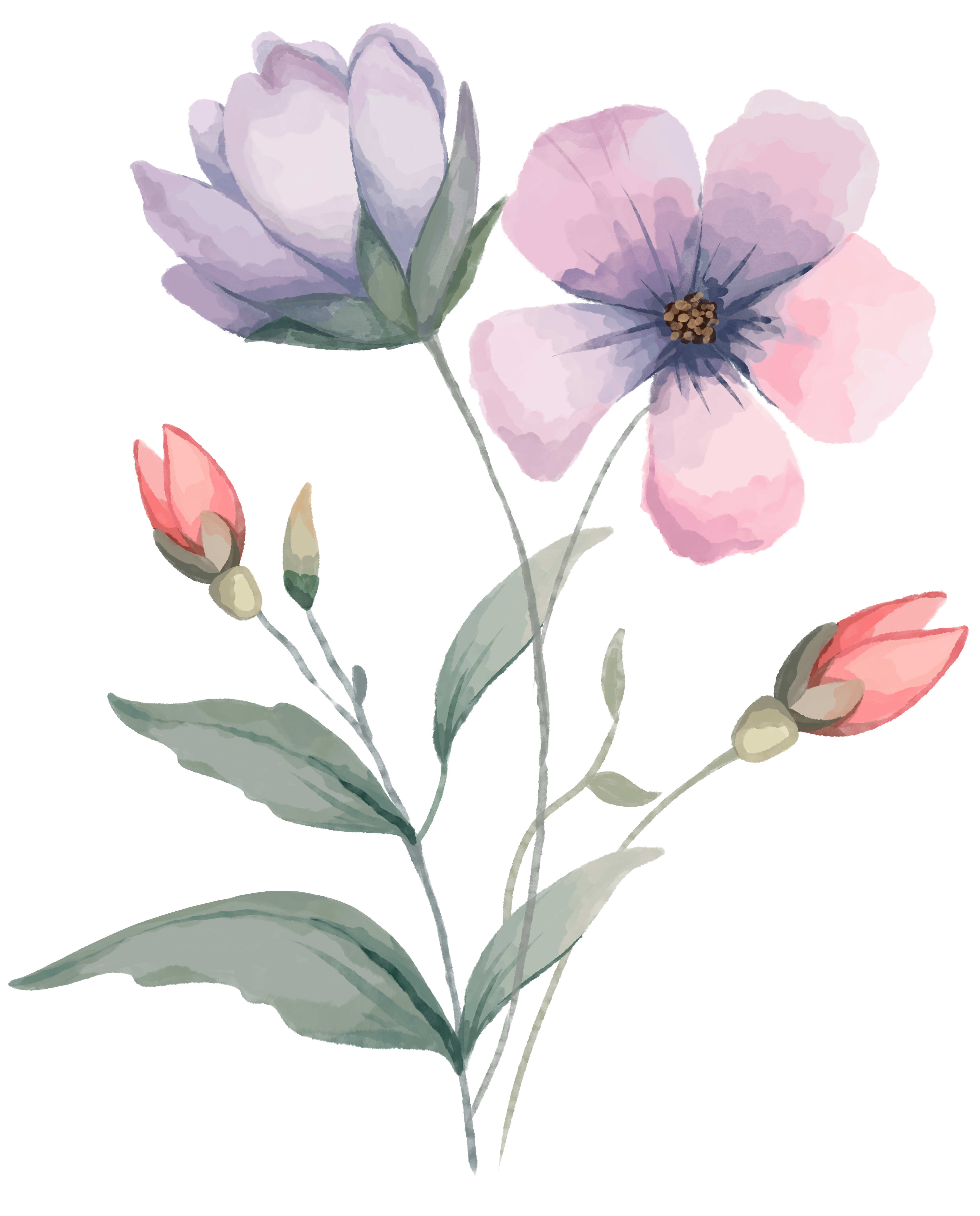 水彩风格创意花卉素材