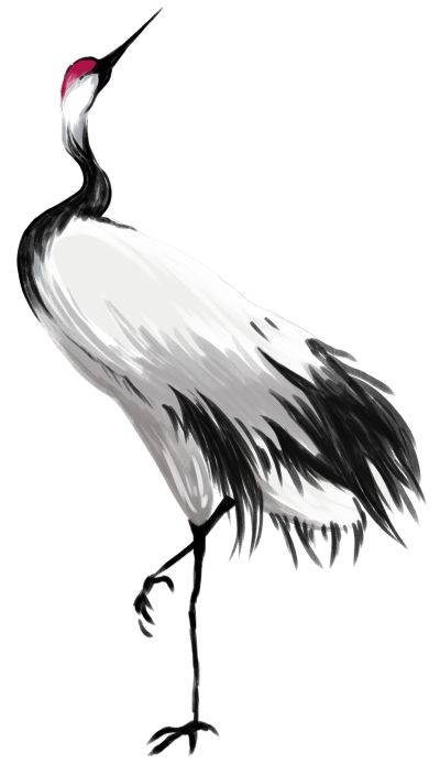 手绘丹顶鹤透明背景白鹭节气插画
