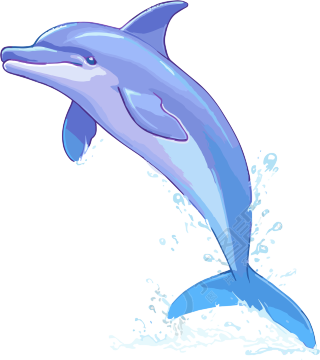 跳跃的海豚透明背景插画素材