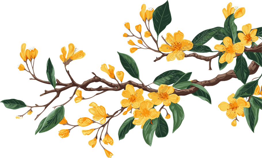 金黄色树枝与叶花PNG图形素材