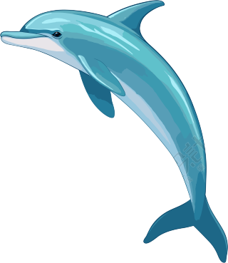 透明背景蓝色海豚插图设计
