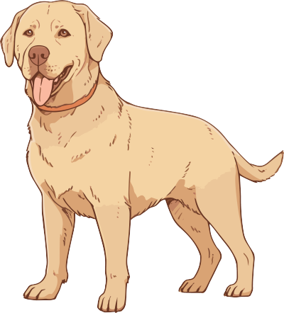 浅棕色和金色拉布拉多犬插画素材