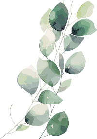 尤加利叶水彩风格插画设计