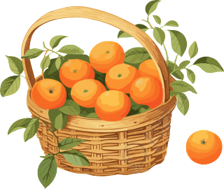 新潮儿童书籍风格的柑橘篮子PNG图形素材