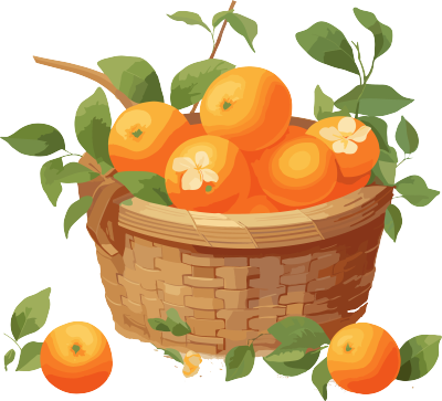 童趣风格一筐橘子插画设计
