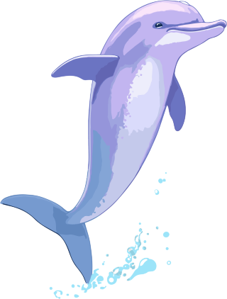 海豚跳跃新免费动物与可爱图标下载插画