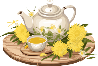清新自然的菊花茶和茶具插画