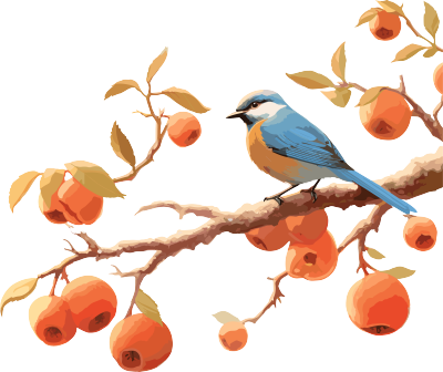 树上成熟的苹果和小鸟插画