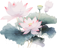 莲花与叶子画作插画