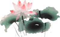 莲花与叶子的精美插画