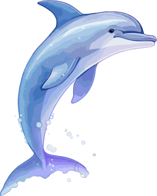 新的免费动物和可爱图标海豚跳跃插画