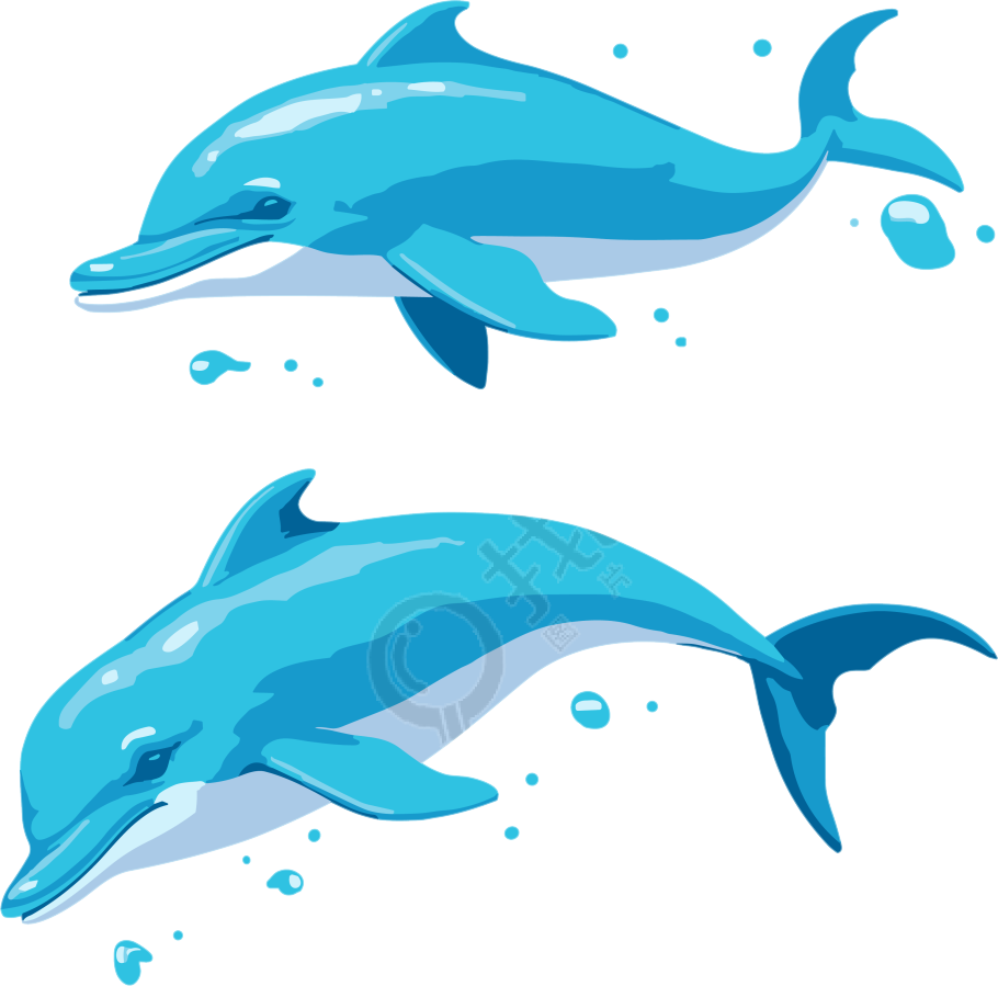 手绘海豚跳跃透明背景插画