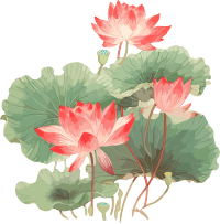 印天荷花绘画插图