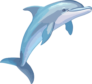 海豚跳跃新免费动物素材