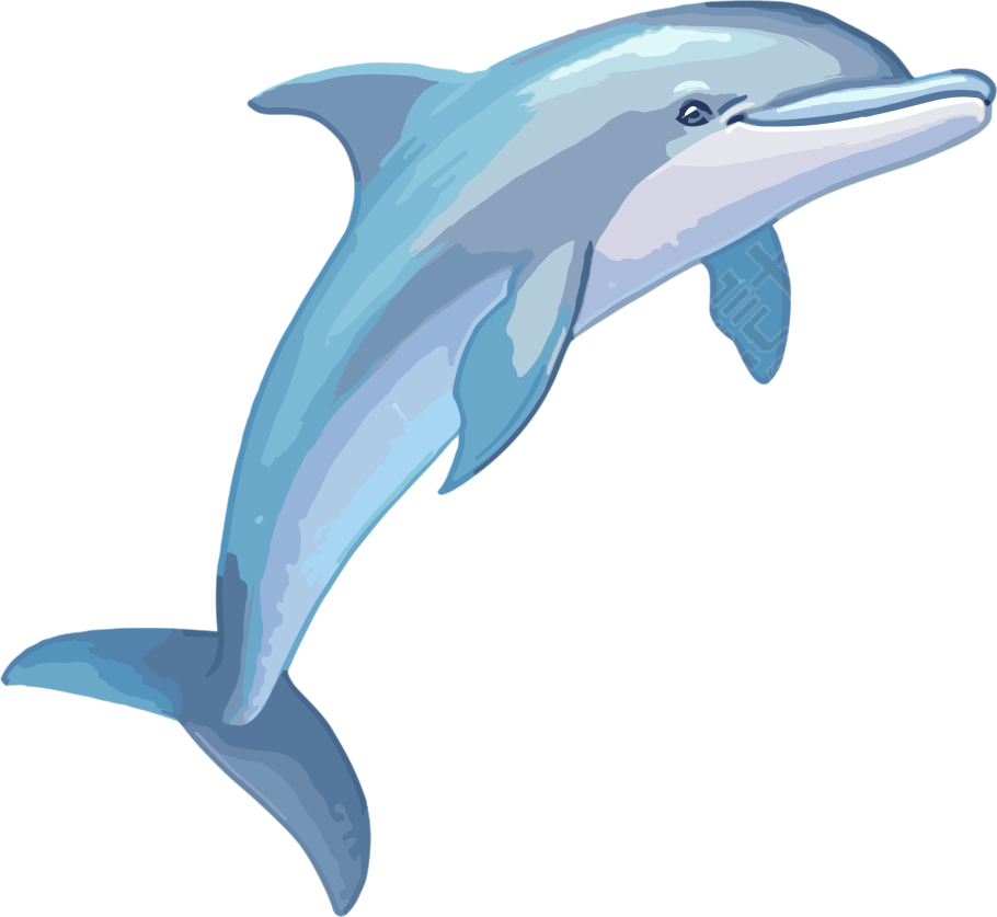 海豚跳跃新免费动物素材