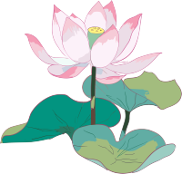 唯美粉色绽放的莲花插画