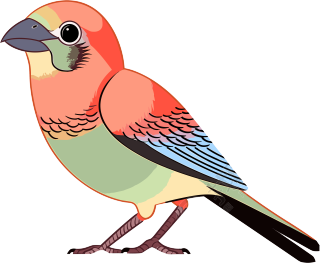 色彩鲜艳的小鸟插画素材