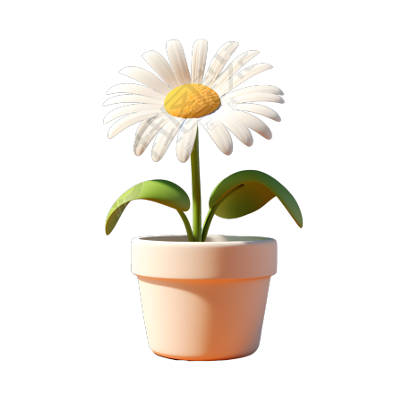 透明背景的高清雏菊花盆景插画设计
