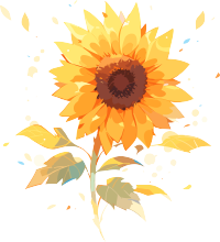水彩风格太阳花插画PNG