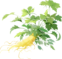 白褐色中草药元素绘画
