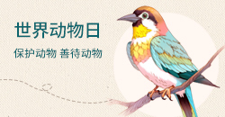 世界动物日