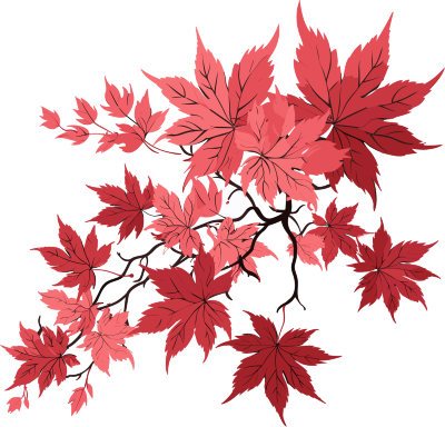 秋之美景红枫叶插画